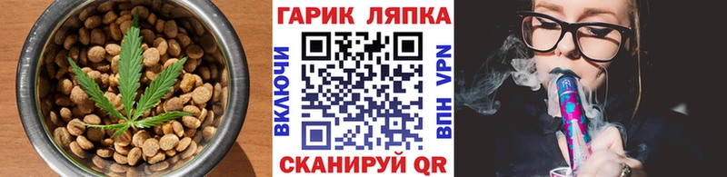 KRAKEN ONION  Могоча  Canna-Cookies конопля 