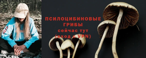 гашиш Белокуриха