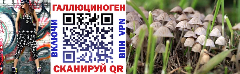 MEGA онион  Могоча  сайты даркнета Telegram  Псилоцибиновые грибы Psilocybine cubensis 