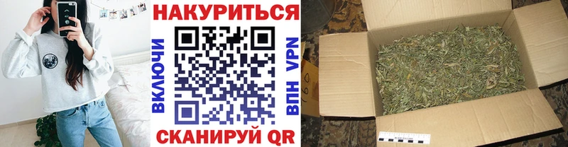 мега ссылки  где купить   дарк нет Telegram  Канабис конопля  Могоча 